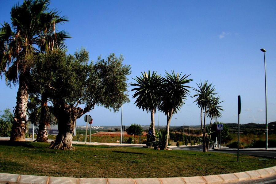 Город Лос-Монтесинос, Испания