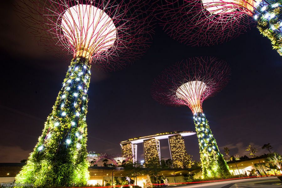 Интересные места в Сингапуре