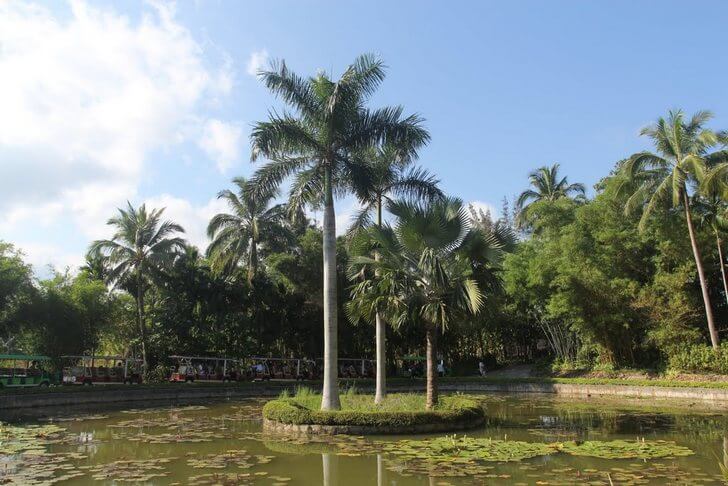 Ботанический сад Синлун