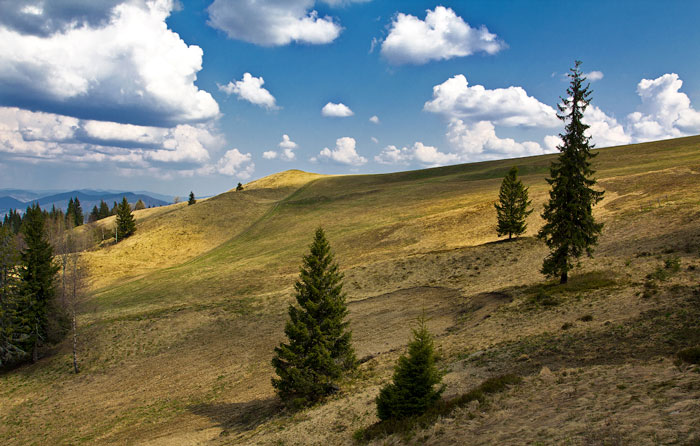 гора высокий верх